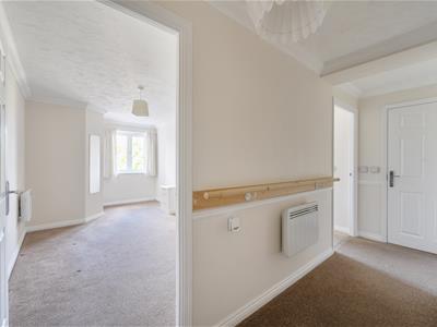 Picture 12